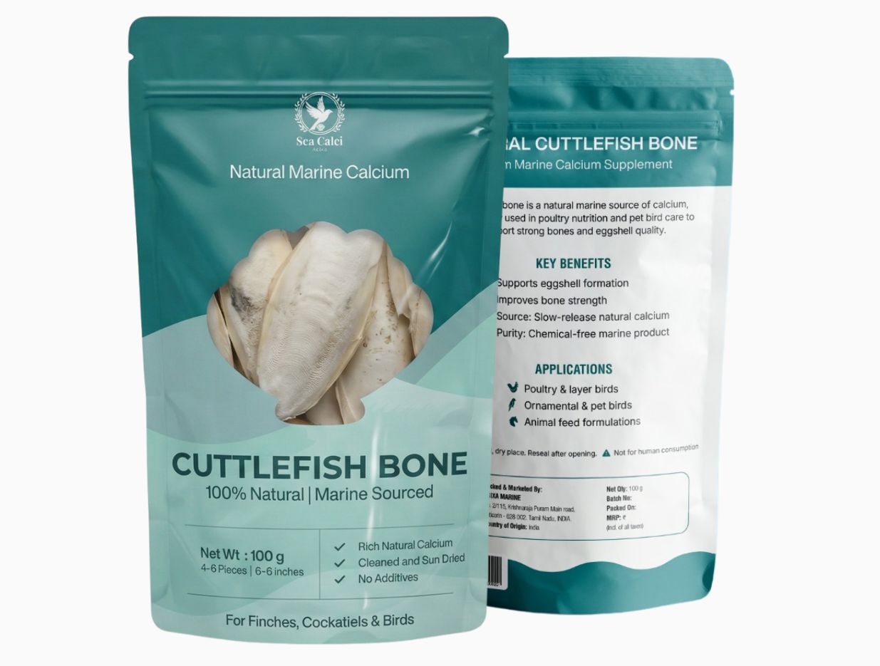 Cuttlefish Bone